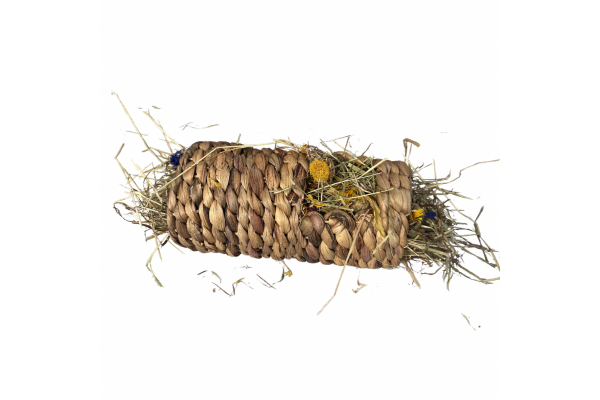 Flower Forage Burst