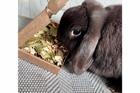 Nibble Box Selection