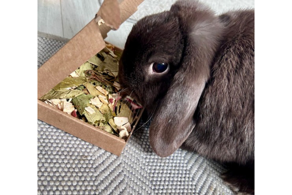 Nibble Box Selection