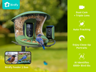Birdfy smart bird feeder duo