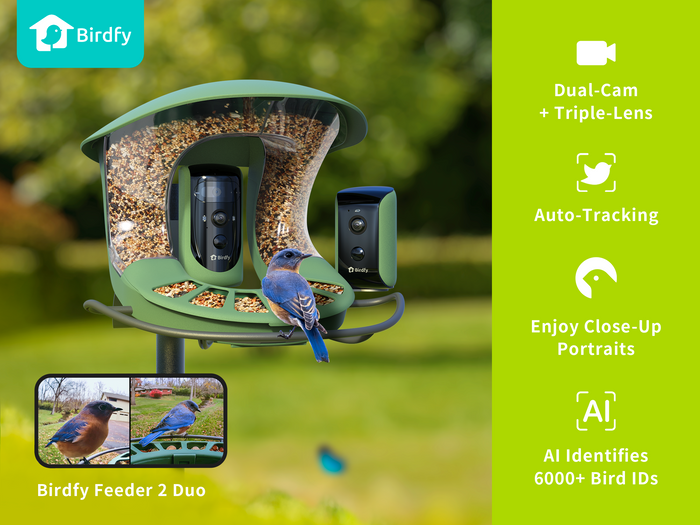 Birdfy smart bird feeder duo