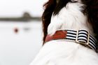 The Navy Collar