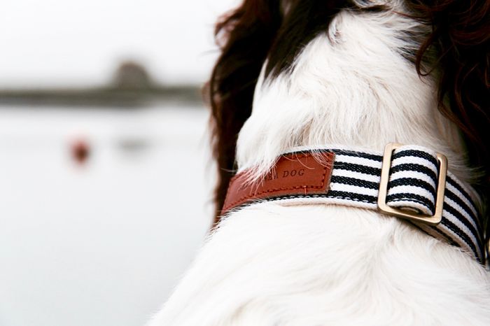 The Navy Collar