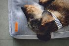 The Breton Dog Bed