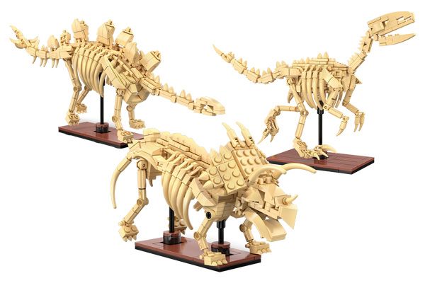 Dinosaur Fossils: Stegosaurus, Triceratops & Velociraptor (Self-Build Brick Models)
