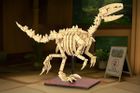 Dinosaur Fossils: Stegosaurus, Triceratops & Velociraptor (Self-Build Brick Models)