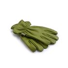 Garden Glove Olive