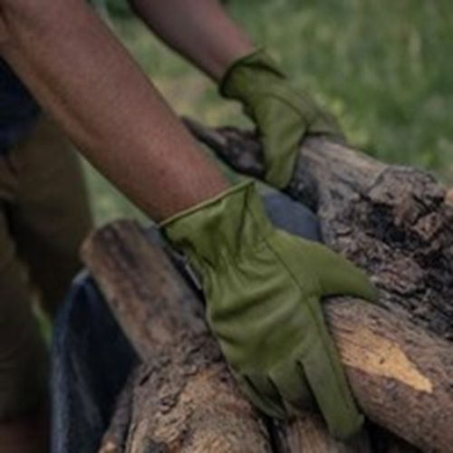Garden Glove Olive