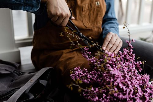 Trimming Shears