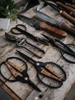 Trimming Shears