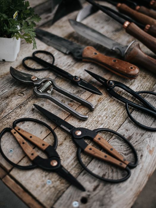 Trimming Shears