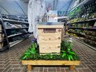 Buzz Box - Beekeeper's Starter Pack