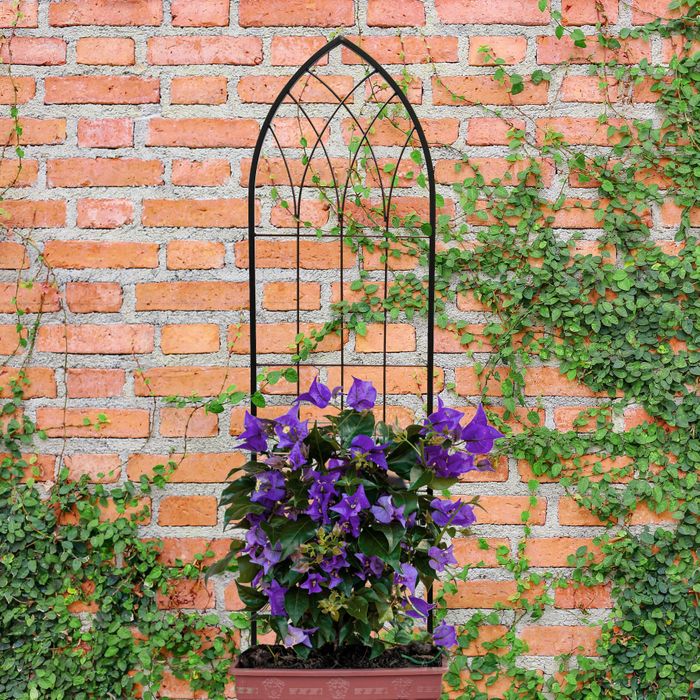 Trellises