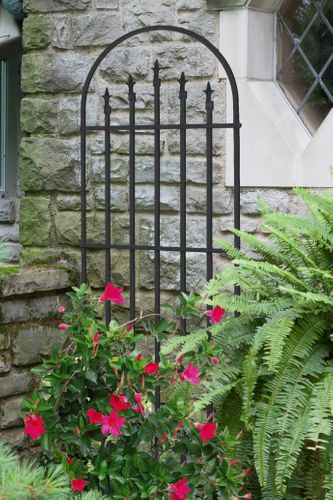 Trellises