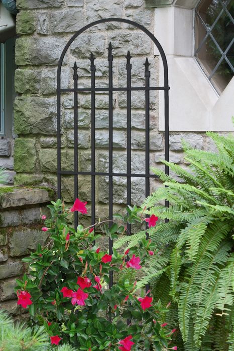 Trellises
