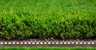 Landscape and Border Edging