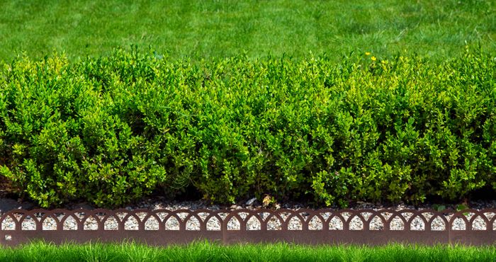 Landscape and Border Edging