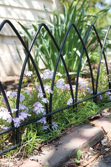 Landscape and Border Edging