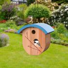 Wild Birds & Nature