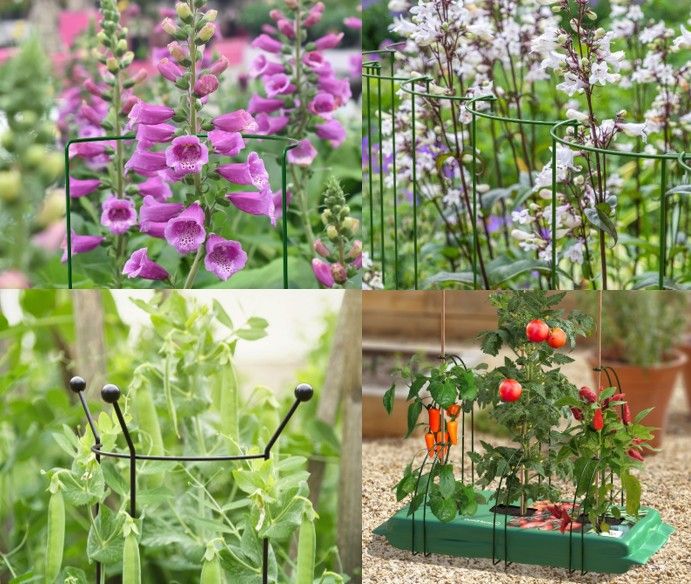 Plant Supports