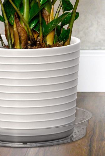 Plant Saucers and Surface Protectors