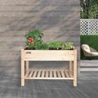 Raised Beds and Planters
