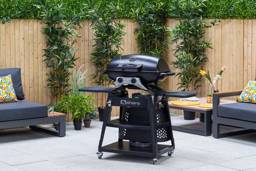 Sahara Storm 2 Burner Gas BBQ