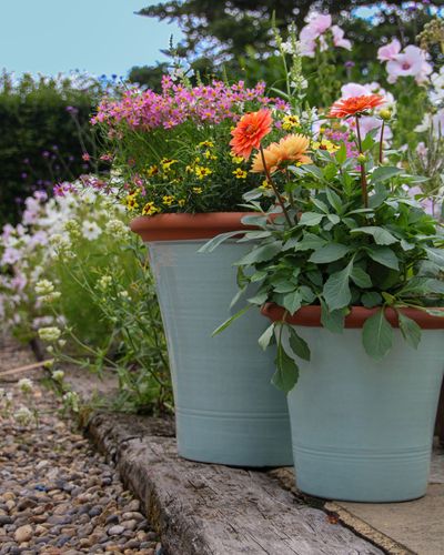 Smith & Jennings Kitchen Planter in Sage Green