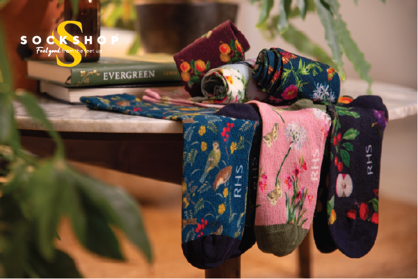 SOCKSHOP Printed RHS Sock