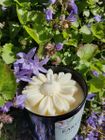 EARTHLOOM Candles