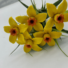 ceramic daffodils