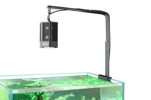 Aquarium plant light