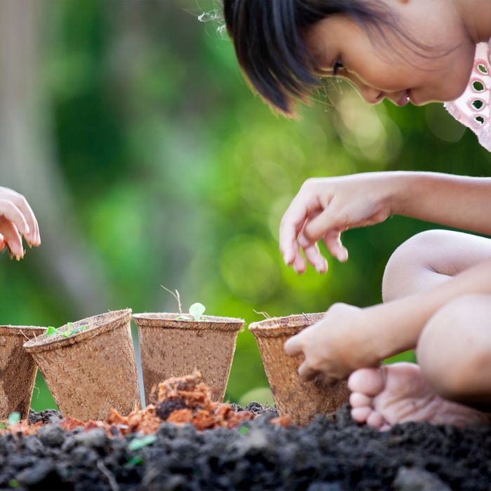 Gardening