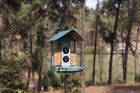 Smart bird feeder