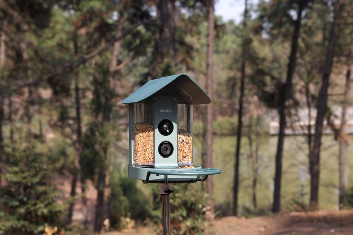 Smart bird feeder