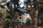 Smart bird feeder