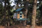 Smart bird feeder