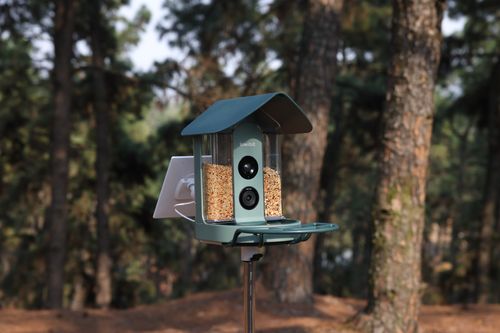 Smart bird feeder