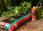 Tomato & Veg Planter 60L
