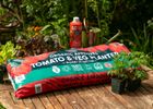 Tomato & Veg Planter 60L