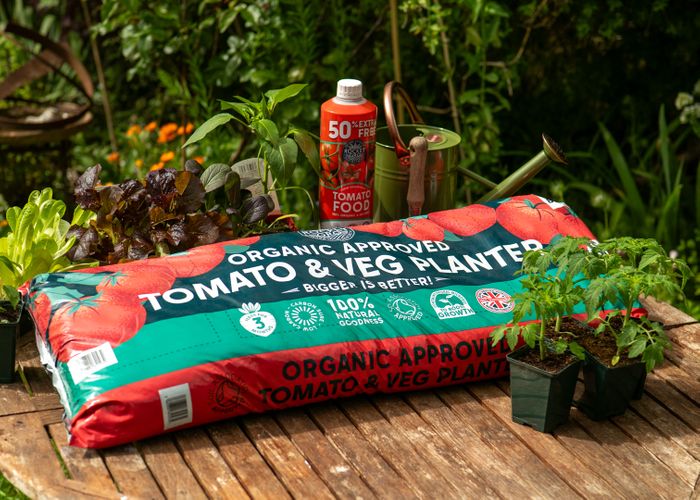 Tomato & Veg Planter 60L