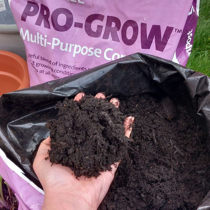 Pro-Grow Multi-Purpose Compost