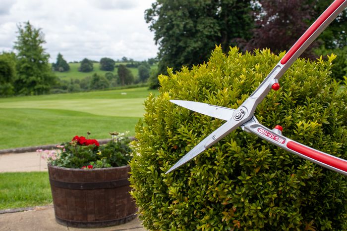 ARS KR-1000 Garden Shears