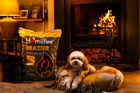 Homefire Brazier