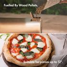 Outdoor Pizza Oven