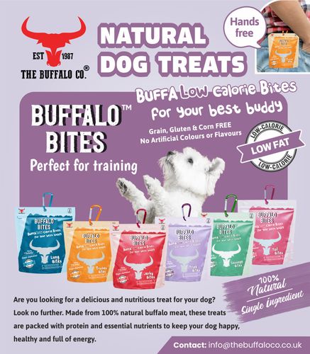 Buffalo Bites