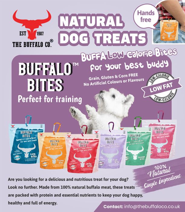 Buffalo Bites