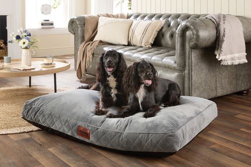 Paws for Slumber Luxury Pet Bed