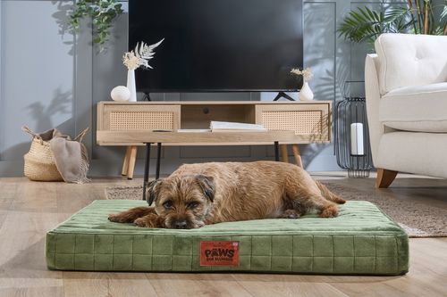 Paws for Slumber Orthopaedic Pet Bed