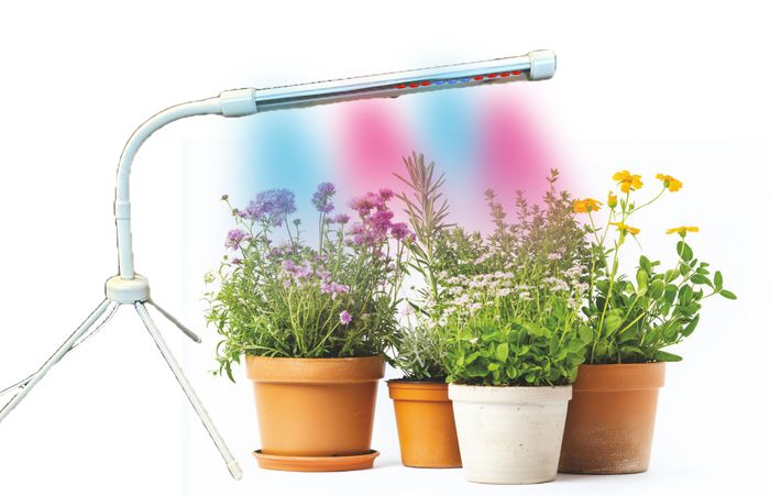 Plant Booster Dual Purpose Grow Light